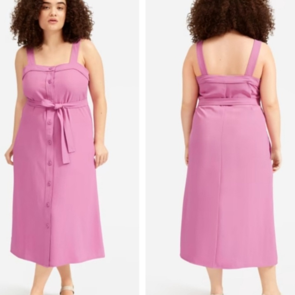 Everlane The Japanese Goweave Picnic Dress
